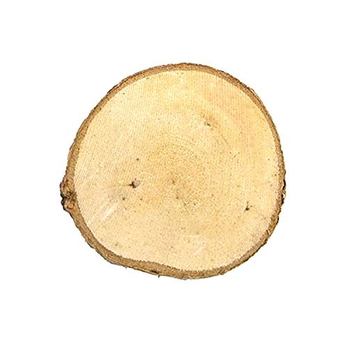 FENICAL 30pcs 6cm rond cercles Birchwood disque...