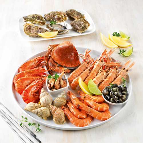  PLATEAU CAPITAINE code EAN 0201182000000 