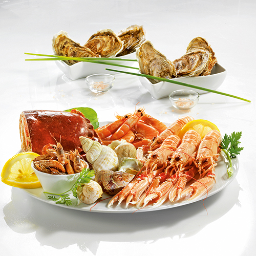  PLATEAU NEPTUNE code EAN 0201257000000 