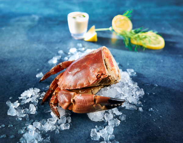  Demi-Tourteau Cuit code EAN 0202017000000 