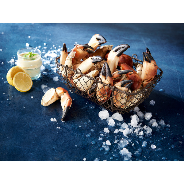 Pinces De Tourteau Cuit 0202291000000 Pinces De Tourteau Cuit 0202291000000