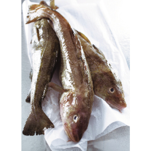  Cabillaud Vidé Avec Tête code EAN 0202380000000 