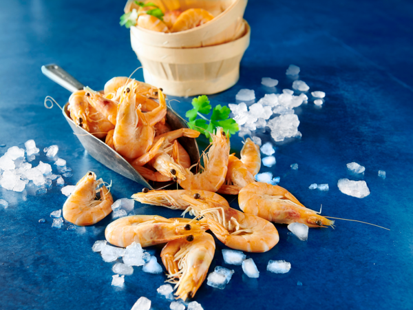 Crevettes Entières Cuites Réfrigérées