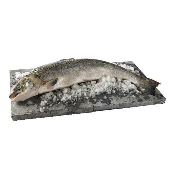  Saumon Atlantique Entier Vidé code EAN 0202632000000 