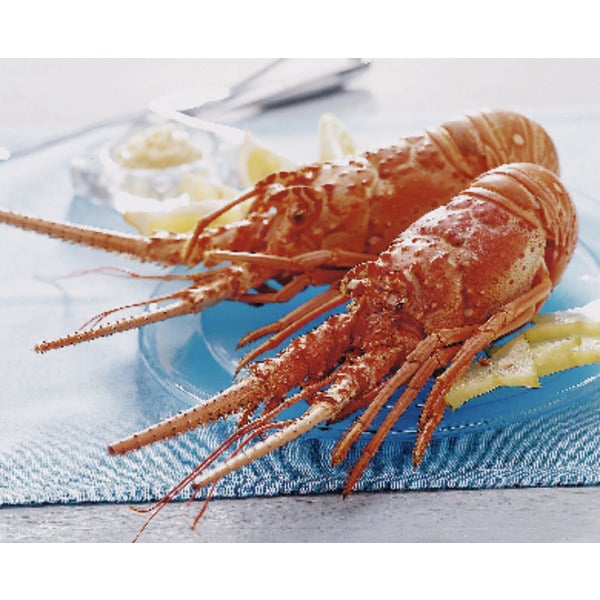  Langoustes Cuites code EAN 0203435000000 