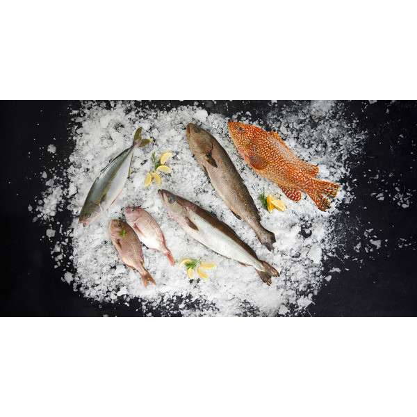  Sériole Entière Vidée  code EAN 0206056000000 