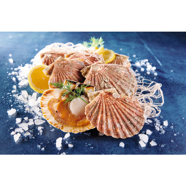  Coquilles Saint-Jacques code EAN 0206076000000 