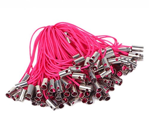 EOZY Lot de 100pcs Cordon Lanière Attache Attac...