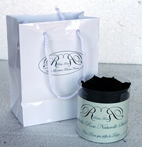 Rose éternelle Noire