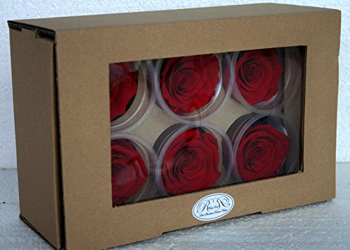 Rose éternelle stabilisée, coffret de 6 boutons...