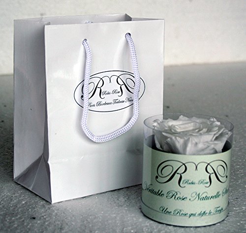 Rose éternelle Blanche 0602561854810 Rubis-Rose