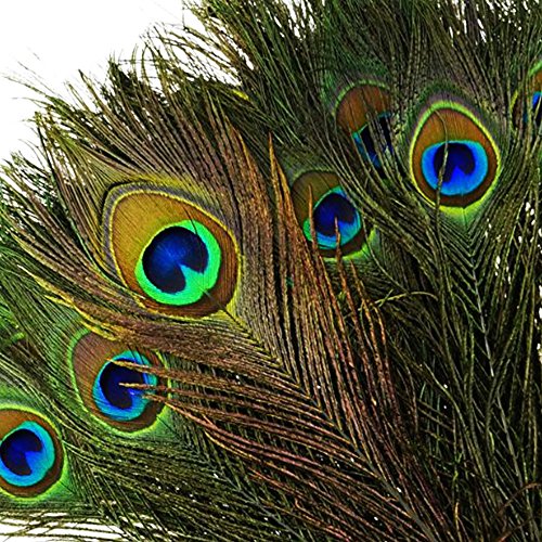 Vejaoo 100pièces haute qualité plumes de paon naturelles avec des yeux (10"-12") pour décoration code EAN 0603849129729 