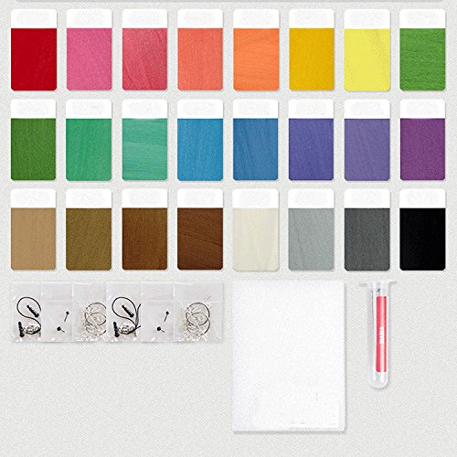 Evan307 Needle Felting Laine Ensemble de 24 couleurs avec des outils auxiliaires Craft Matériaux Laine de fibre Laine de bricolage code EAN 0606413739669 