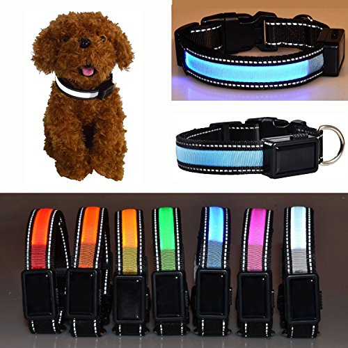 [Aution House-la Generation Nouvelle du Collier...