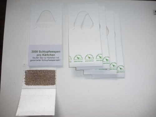 AMW Nützlinge Trichogrammes contre mites alimentaires 3 livraisons de 4 cartes (3000 œufs) code EAN 0610585199329 