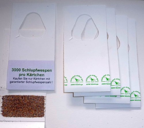 AMW Nützlinge Trichogrammes contre mites textiles 6 livraisons de 3000 œufs code EAN 0610585199343 