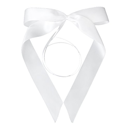 6pcs Nœud Papillon de Ruban pour Décoration de ...