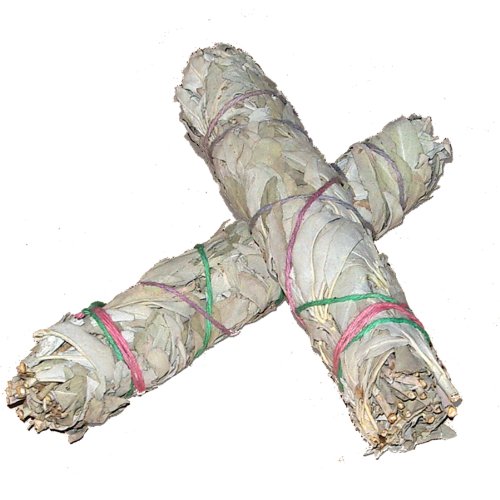 Batonnets de Sauge blanche - lot de 2 - batons ...