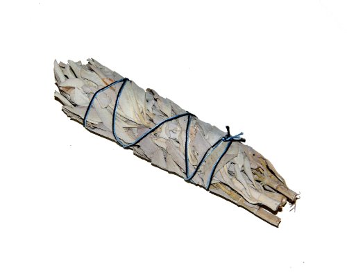 Native-spirit Baton Purificateur Sauge Blanche Moyen - Salvia Apiana - WHITE SAGE ML Smudge 5-6'' (~14cm, ~30-35gr.) code EAN 0616983311677 