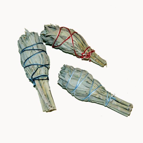 Batonnets de Sauge blanche - lot de 3 - batons ...