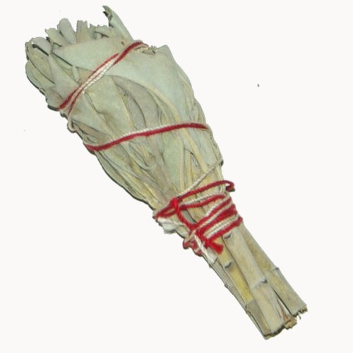 Baton Purificateur Sauge Blanche MINI- Salvia A...