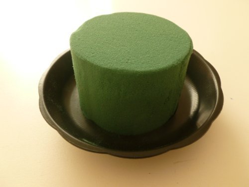 OASIS Bol Junior (Noir Vert) & Mousse Cylindre Mouillé Floral. Agencement Floral / Présentations Marriage (x1) 0619217903426 Oasis