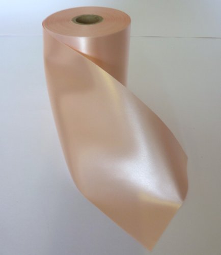 RP RIBBON Peche Ruban Polyester 45mm x 50m code EAN 0620947630728 