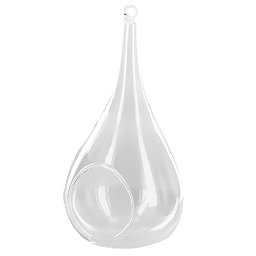 Vase Suspendu en Verre Transparent Forme de Côn...