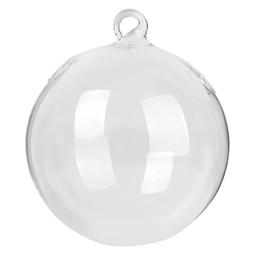 Vase Suspendu en Verre Transparent Boule pour P...