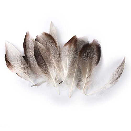 Lot de 20pcs 9-13cm Plumes de Canard pour Artis...