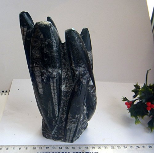 SCULPTURE en marbre ORTHOCERAS Fossiles ammonit...