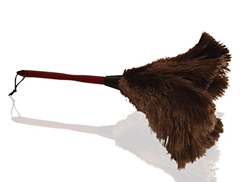 Just Feather Dusters Plumeau en Plumes d'Autriche Authentiques 50 cm 20'' Qualité Premium - Attire les Particules de Poussière - Plumes Douces et Épaisses et Manche en Bois Ergonomique Durable - Nettoyage et Dépoussiérage Simple, Efficace code EAN 0634158563706 