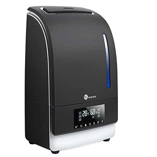 Humidificateur à Brume Chaude et Froide TaoTron...