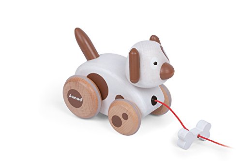 - j08117 - chien à promener zigolos bois