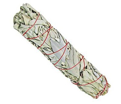 Native-spirit.eu 2 x Sauge blanche en bâton - bâton de fumigation et de Purificateur Maxi - Salvia Apiana - WHITE SAGE XXL Smudge 8-9'' (~22cm, ~70-85gr.) batons / empaqueter / ballot code EAN 0638353359072 
