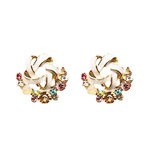 Elégant boucles d'oreilles tempérament (b)