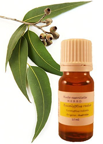 Huile Essentielle d'Eucalyptus Radié 10ml
