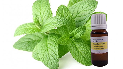 Huile Essentielle Menthe Verte 10ml