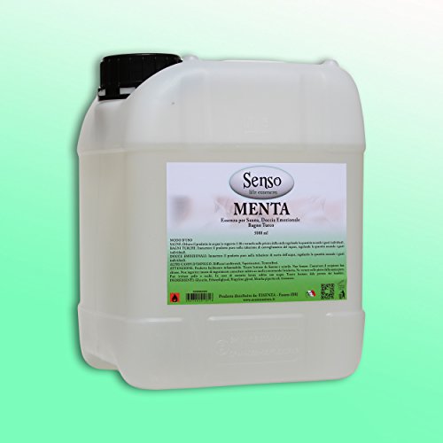 - Senza marca/Generico - Essence LT 5.00 menthe bain turc sauna diffuseurs 0643380510716 (0643380510716)