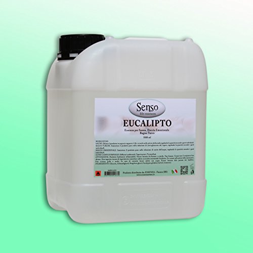 - Senza marca/Generico - Essence LT 5.00 Eucalyptus bain turcosauna diffuseurs 0643380510730 (0643380510730)