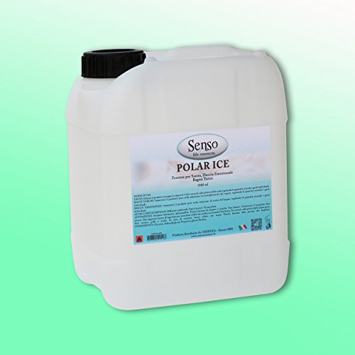 - Senza marca/Generico - Essence Polar Ice Lt. 5.00 Aromathérapie bain turc sauna diffuseurs 0643380512123 (0643380512123)
