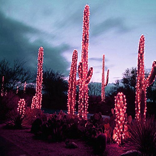 2.4metre 24led ambiance deco exterieur (rouge)