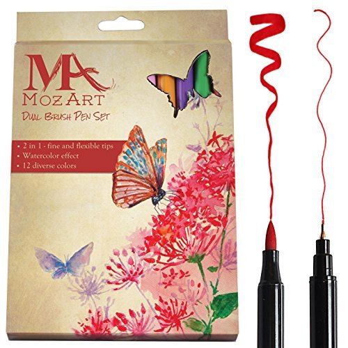 Dual Brush Pen Set - 12 couleurs - Double Tip, ...