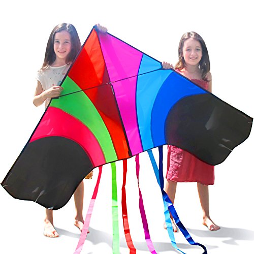 Cerf-volant Tomi Kite - Cerf-volant arc-en-ciel géant idéal pour les enfants et les adultes - Facile à faire décoller par vent très fort ou par brise légère - Largeur 1,5 m - 60'' - Cordon de 100 mètres - 6 queues - Fabriqué pour durer - Fantastique pour le divertissement en famille 0646437876537 TOMI KITE Cerf-volant Tomi Kite - Cerf-volant arc-en-ciel géant idéal pour les enfants et les adultes - Facile à faire décoller par vent très fort ou par brise légère - Largeur 1,5 m - 60'' - Cordon de 100 mètres - 6 queues - Fabriqué pour durer - Fantastique pour le divertissement en famille 0646437876537 TOMI KITE