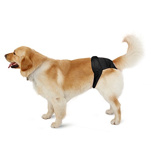 Max de couches chien culottes hygiène avec valc...