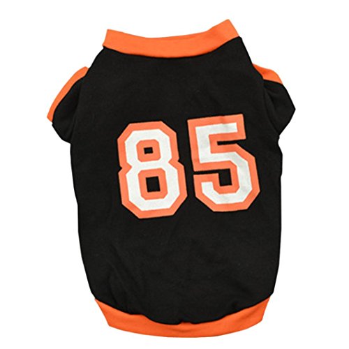 Mignon été chiot animal petit chien chat vêteme...