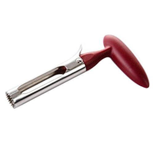 De graines de fruits en acier inoxydable core p...