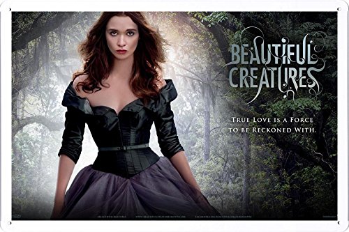 Shawlux Décor affiche murale du metal fer blanc signe enseignes 20*30cm by Shawlux Décor (E2626F06990) 0654709798074 (0654709798074)