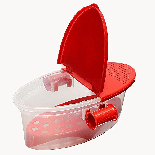 Micro-ondes Cuiseur à Pâtes Plastique Bateau Bo...