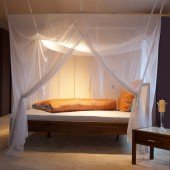 Téléphone portable radiations Swiss Shield Natu...